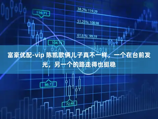 富豪优配-vip 陈凯歌俩儿子真不一样，一个在台前发光，另一个的路走得也挺稳
