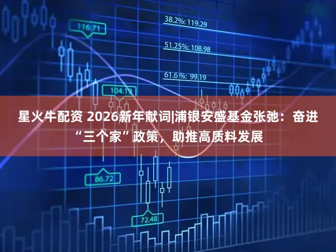 星火牛配资 2026新年献词|浦银安盛基金张弛：奋进“三个家”政策，助推高质料发展