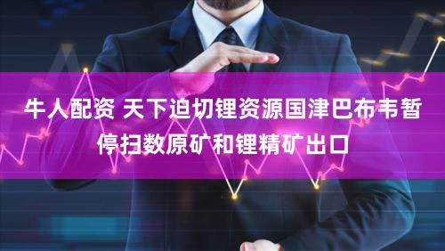 牛人配资 天下迫切锂资源国津巴布韦暂停扫数原矿和锂精矿出口