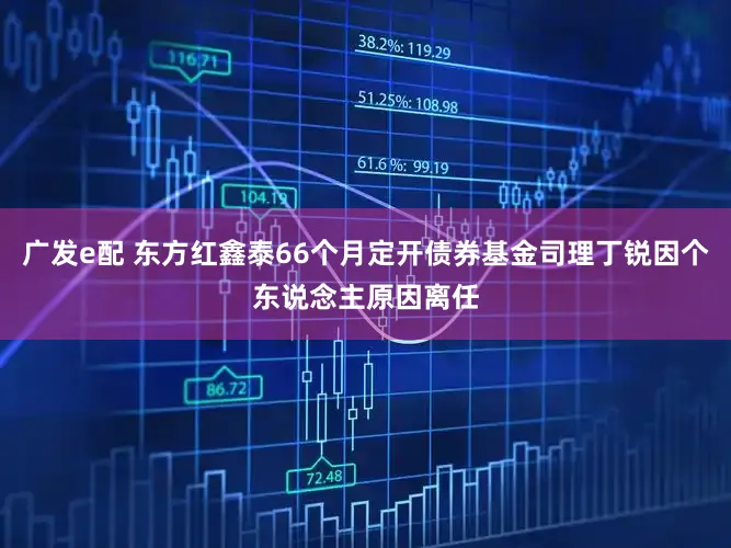 广发e配 东方红鑫泰66个月定开债券基金司理丁锐因个东说念主原因离任