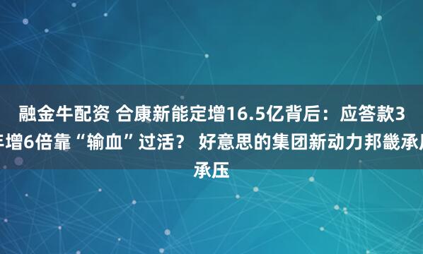 融金牛配资 合康新能定增16.5亿背后：应答款3年增6倍靠“输血”过活？ 好意思的集团新动力邦畿承压