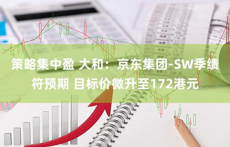 策略集中盈 大和：京东集团-SW季绩符预期 目标价微升至172港元