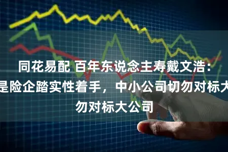 同花易配 百年东说念主寿戴文浩：个险是险企踏实性着手，中小公司切勿对标大公司