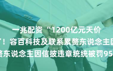 一兆配资 “1200亿元天价订单”后续来了！容百科技及联系累赘东说念主因信披违章统统被罚950万元