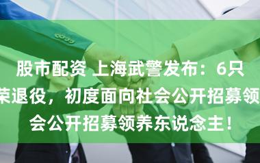 股市配资 上海武警发布：6只军犬行将光荣退役，初度面向社会公开招募领养东说念主！